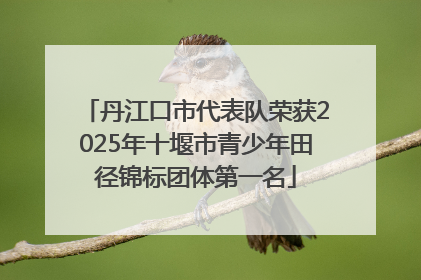 丹江口市代表队荣获2025年十堰市青少年田径锦标团体第一名