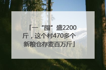 一“囤”盛2200斤，这个村470多个新粮仓存麦百万斤