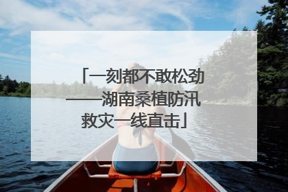 一刻都不敢松劲——湖南桑植防汛救灾一线直击