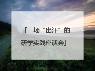 一场“出汗”的研学实践座谈会