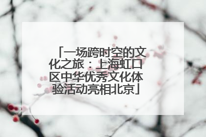 一场跨时空的文化之旅：上海虹口区中华优秀文化体验活动亮相北京