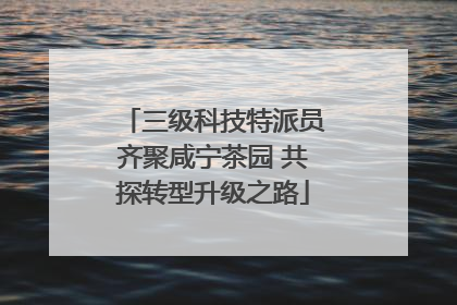 三级科技特派员齐聚咸宁茶园 共探转型升级之路