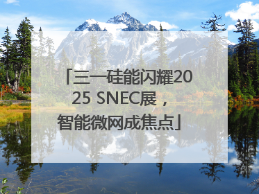 三一硅能闪耀2025 SNEC展，智能微网成焦点