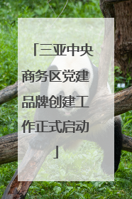 三亚中央商务区党建品牌创建工作正式启动