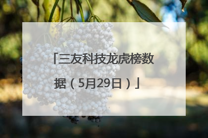 三友科技龙虎榜数据（5月29日）