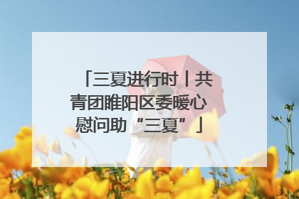 三夏进行时丨共青团睢阳区委暖心慰问助“三夏”