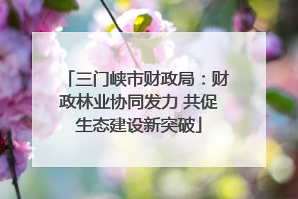 三门峡市财政局：财政林业协同发力 共促生态建设新突破