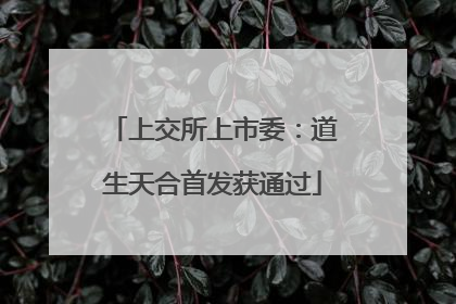 上交所上市委：道生天合首发获通过