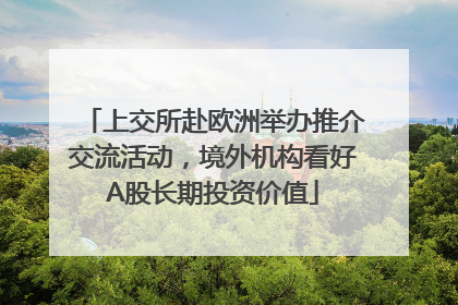 上交所赴欧洲举办推介交流活动，境外机构看好A股长期投资价值