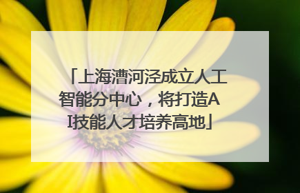 上海漕河泾成立人工智能分中心，将打造AI技能人才培养高地