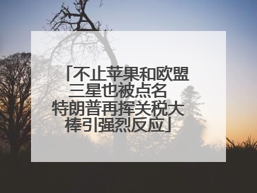 不止苹果和欧盟 三星也被点名 特朗普再挥关税大棒引强烈反应