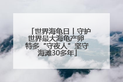 世界海龟日丨守护世界最大海龟产卵 特多“守夜人”坚守海滩30多年