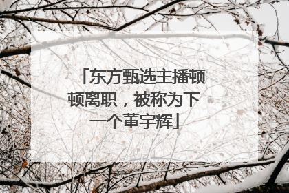 东方甄选主播顿顿离职，被称为下一个董宇辉