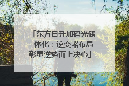 东方日升加码光储一体化：逆变器布局彰显逆势而上决心