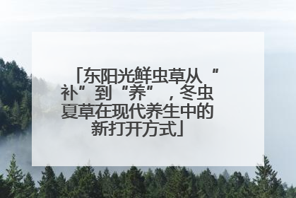 东阳光鲜虫草从“补”到“养”，冬虫夏草在现代养生中的新打开方式