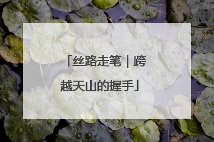 丝路走笔｜跨越天山的握手