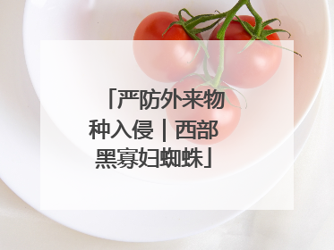 严防外来物种入侵｜西部黑寡妇蜘蛛