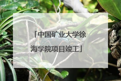 中国矿业大学徐海学院项目竣工