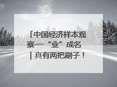 中国经济样本观察·一“业”成名｜真有两把刷子！“刷”出30亿级“颜值经济”
