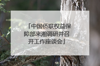 中国侨联权益保障部来湘调研并召开工作座谈会