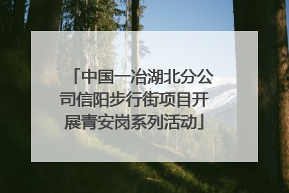 中国一冶湖北分公司信阳步行街项目开展青安岗系列活动