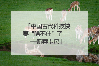 中国古代科技快要“瞒不住”了——新莽卡尺