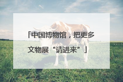 中国博物馆，把更多文物展“请进来”