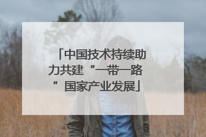 中国技术持续助力共建“一带一路”国家产业发展