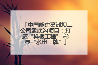 中国能建葛洲坝二公司孟底沟项目：打造“样板工程” 彰显“水电王牌”
