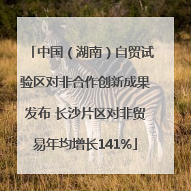 中国（湖南）自贸试验区对非合作创新成果发布 长沙片区对非贸易年均增长141%