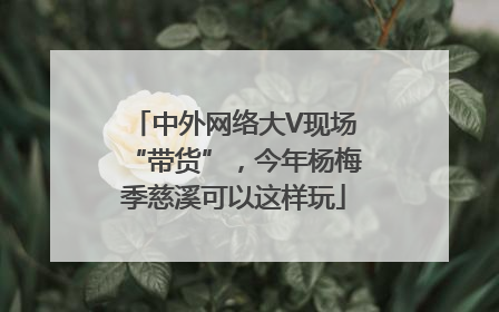 中外网络大V现场“带货”，今年杨梅季慈溪可以这样玩