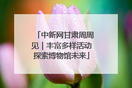 中新网甘肃周周见｜丰富多样活动探索博物馆未来
