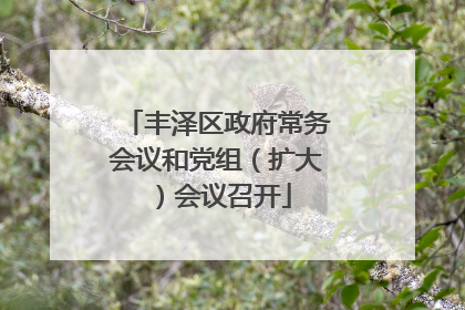 丰泽区政府常务会议和党组（扩大）会议召开