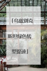 乌兹别克斯坦绿色转型提速