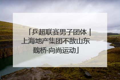 乒超联赛男子团体｜上海地产集团不敌山东魏桥·向尚运动