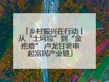 乡村振兴在行动丨从“土坷垃”到“金疙瘩” 卢龙甘薯串起富民产业链