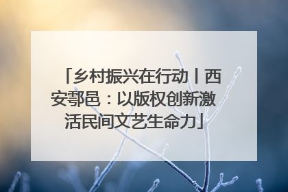 乡村振兴在行动丨西安鄠邑：以版权创新激活民间文艺生命力