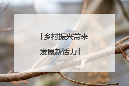 乡村振兴带来发展新活力