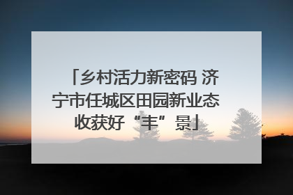 乡村活力新密码 济宁市任城区田园新业态收获好“丰”景