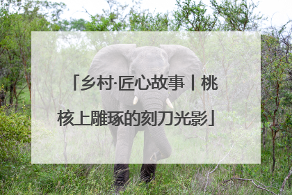 乡村·匠心故事丨桃核上雕琢的刻刀光影