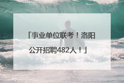 事业单位联考！洛阳公开招聘482人！