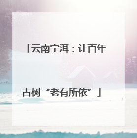 云南宁洱：让百年古树“老有所依”