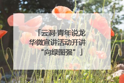 云洞·青年说龙华微宣讲活动开讲“向绿图强”
