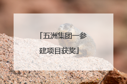 五洲集团一参建项目获奖