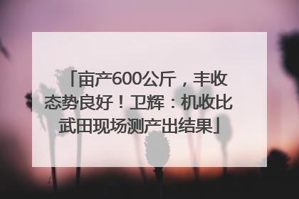 亩产600公斤，丰收态势良好！卫辉：机收比武田现场测产出结果