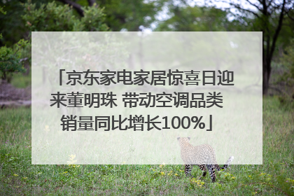 京东家电家居惊喜日迎来董明珠 带动空调品类销量同比增长100%