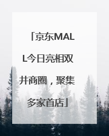 京东MALL今日亮相双井商圈，聚集多家首店