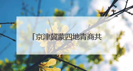 京津冀蒙四地青商共划发展 “同心舟”
