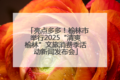 亮点多多！榆林市举行2025“清爽榆林”文旅消费季活动新闻发布会