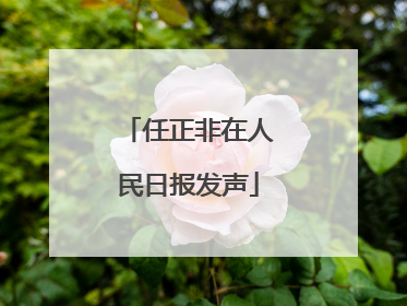 任正非在人民日报发声
